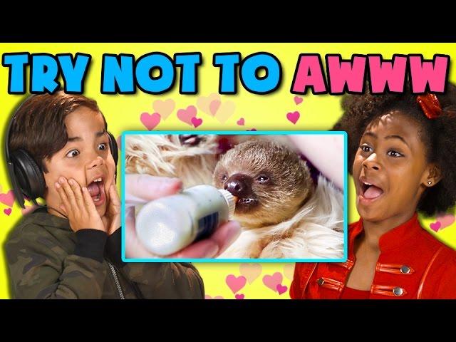 KIDS REACT TO TRY NOT TO AWWW CHALLENGE