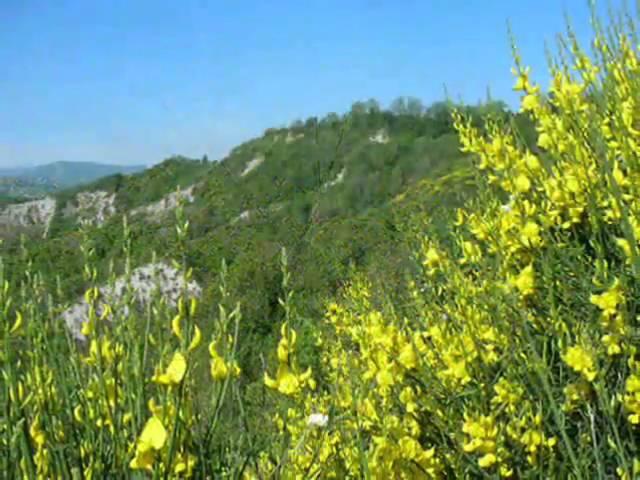 Romagna mia