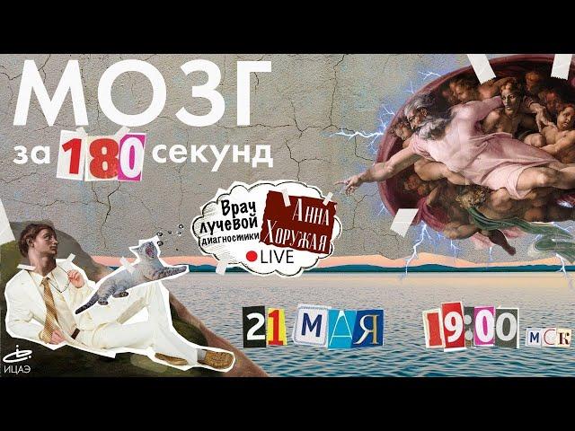 МОЗГ ЗА 180 СЕКУНД I Врач лучевой диагностики Анна Хоружая