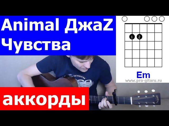 Animal Джаз - Чувства аккорды  кавер табы как играть на гитаре