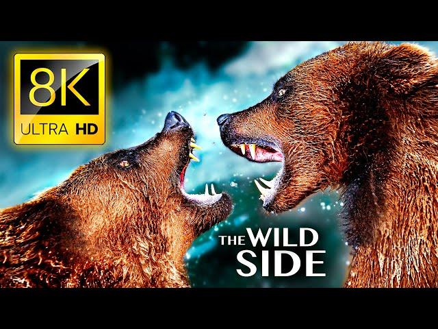 THE WILD SIDE OF ANIMALS 8K ULTRA HD - The Greatest Animal Fights