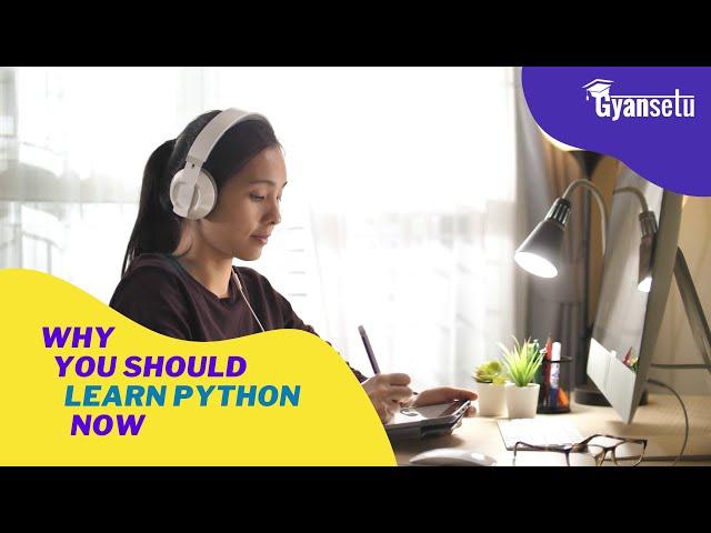 Top Reasons Why you should Learn Python Programming Now