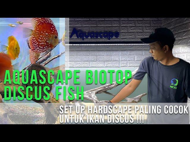 AQUASCAPE DISCUS BIOTOP | SETTING HARDSCAPE YANG NYAMAN UNTUK DISCUS | IKAN DISCUS DIJAMIN SEHAT !!!