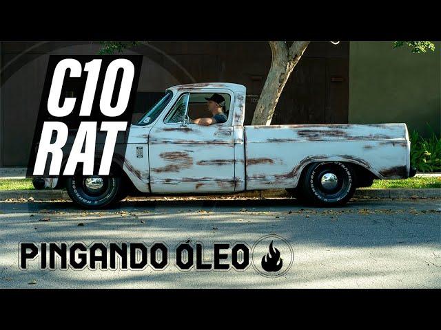 CHEVROLET C10 RAT ANIMAL | PROJETO EXCLUSIVO E FINALIZADO | MECÂNICA 6 CILINDROS