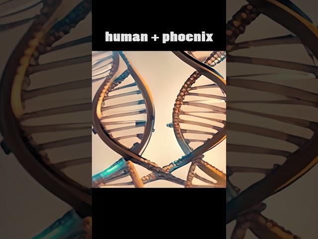 [AI] human + phoenix.