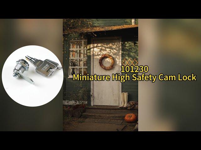 Miniature High Safety Cam Lock #101230 | ABA Locks - Safes | Lock Strength | High Security Locks