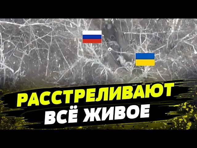 Армия рф в Авдеевке расстсреливает всё что движется