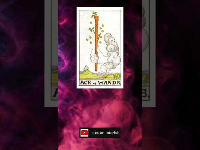 Learn Tarot: The Ace of Wands tarot card meaning
