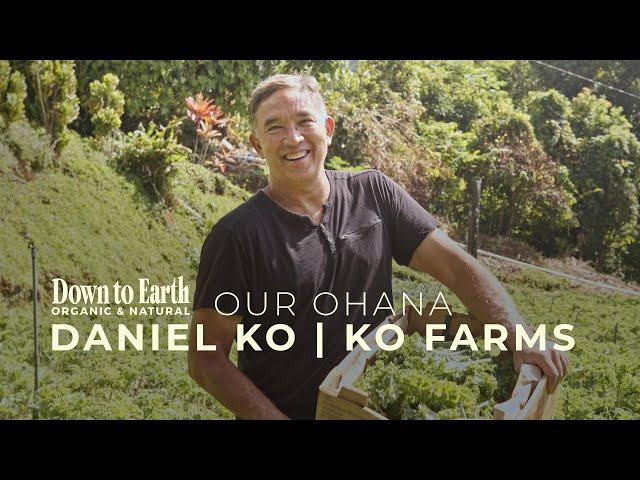 Local Hawaii Farms: A Day at Ko Farms