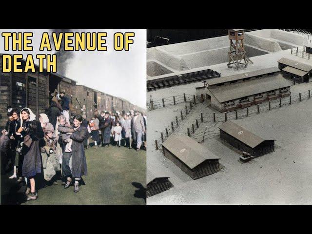 Treblinka's Avenue Of Death - WWII's Most BRUTAL Execution Method?