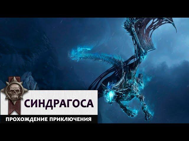 Синдрагоса. Прохождение Цитадели Ледяной Короны базовыми колодами!