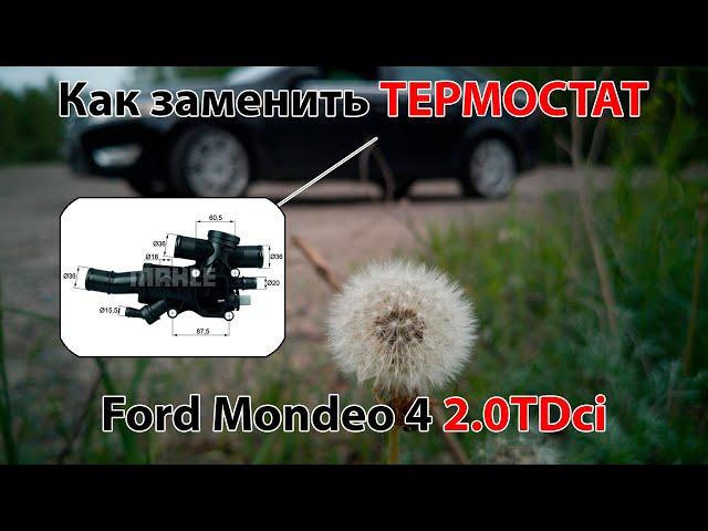 Как заменить термостат на Ford Mondeo 4 2.0Tdci