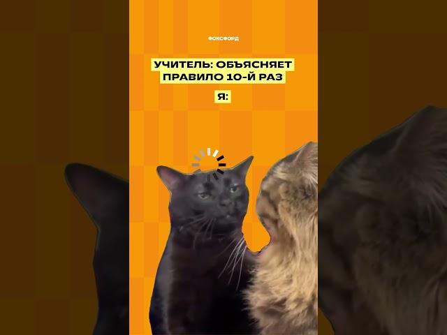 Учитель  объясняет правило 10-й раз #математика #огэ #shorts
