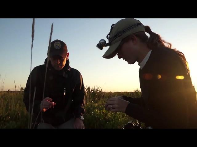 FWC Research: Our Mission