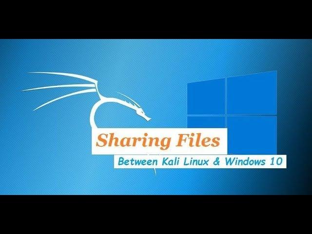 Share files Windows 10 between Kali Linux