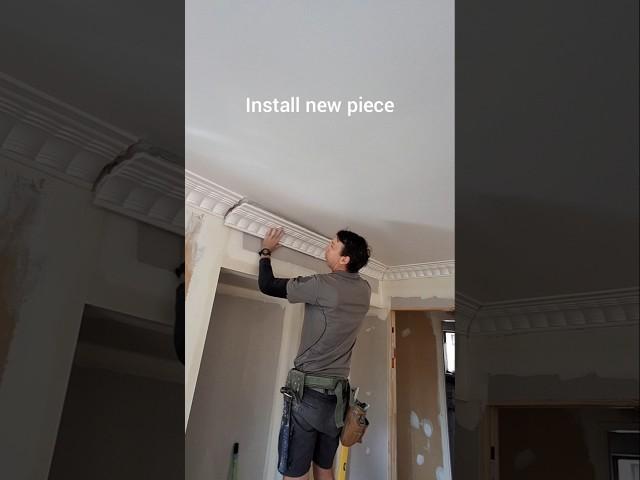 How to install cornice #diy #drywalling #plaster #construction #building