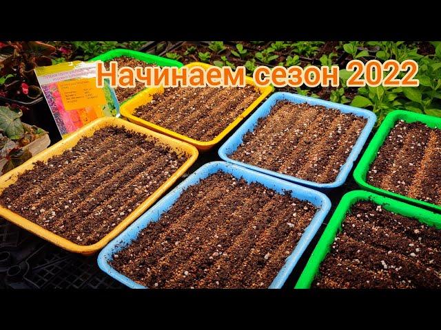 Первые посевы к новому сезону 2022 года. Бегония, эустома и  другие цветочки.