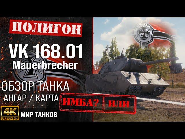 Review of VK 168.01 Mauerbrecher guide heavy tank Germany | equipment