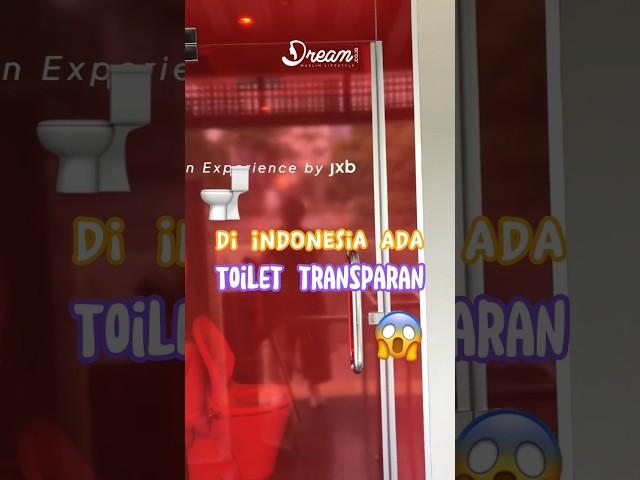 Di Indonesia Ada Toilet Transparan?