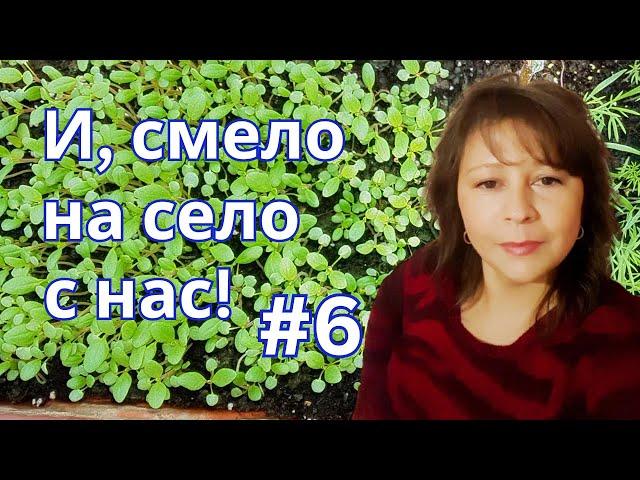 Произвеждаме си разсад за зеленчуците в градината ни | И, смело на село с нас | Боби и Катето