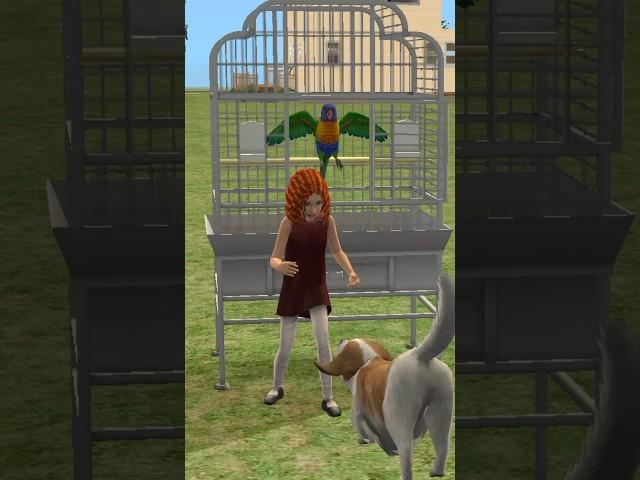 She didn’t even NOTICE!#shorts #parrot #birds #sims #thesims2 #thesims4