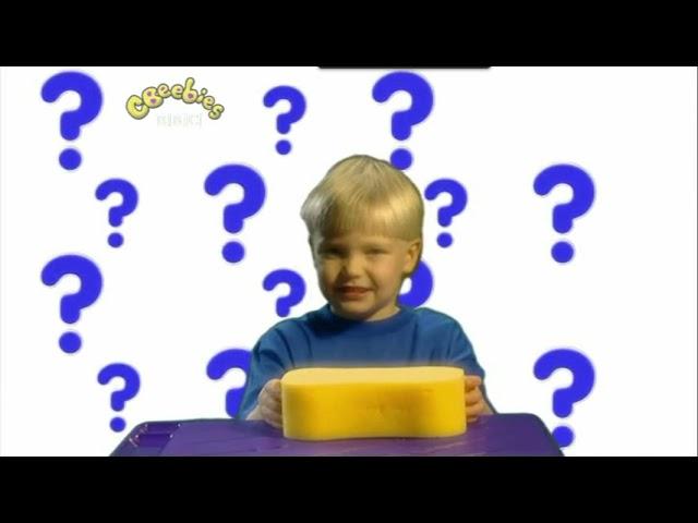 Bits and Bobs Let's Puzzle It With You Sponge