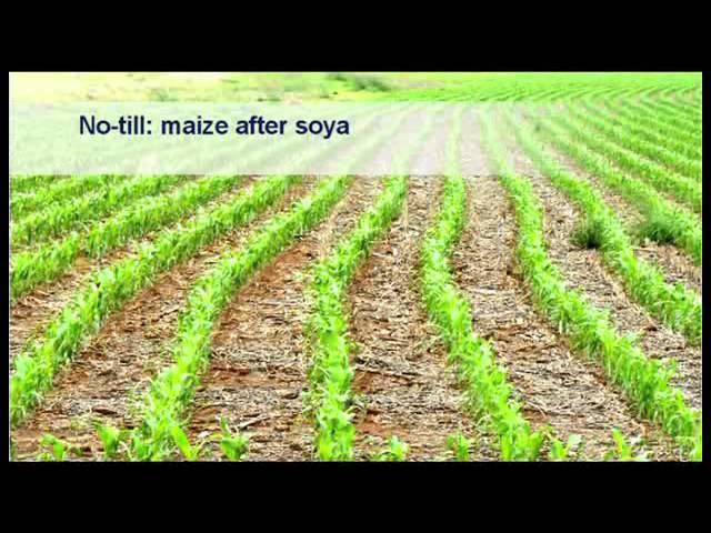 Soybean Cultivation: 09 Soil Cultivation and Seedbed Preparation - Wessel van Wyk