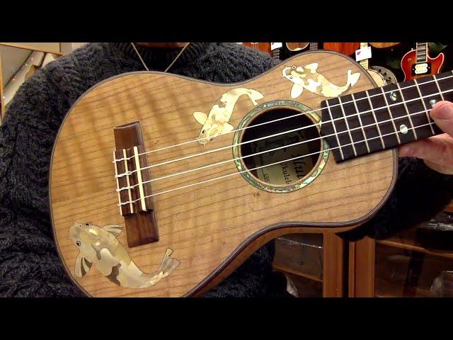 Ukulele Mania Demo, "Love Me Tender" on Alulu Shell Inlay Curly Maple Concert Ukulele #5500