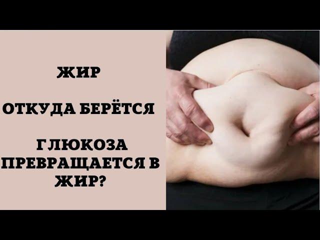 ЖИР / ОТКУДА БЕРЁТСЯ / ГЛЮКОЗА ПРЕВРАЩАЕТСЯ В ЖИР?