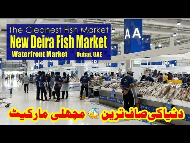 Dubai Fish Market|Deira Fish Market|Waterfront Market Fish Market|Cleanest Fish Market, Dubai, UAE