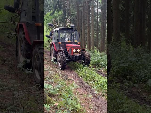 Zetor 7745 #agriculture #zetor #claas #hay #fyp #fy #foryoupage #foryou #viral