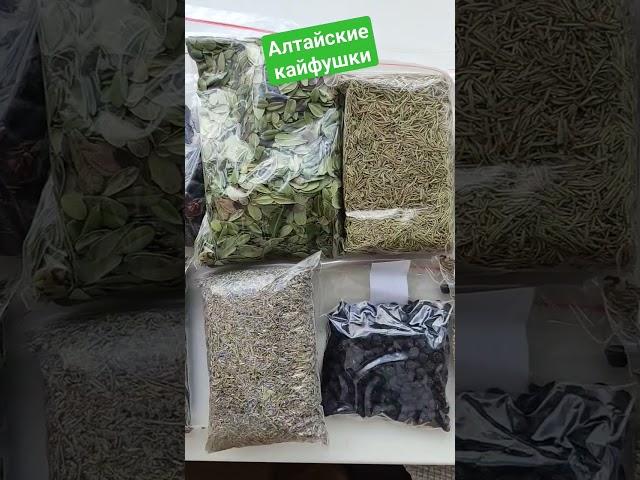 Привезли алтайские травы и ягоды