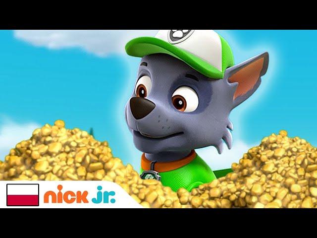 Psi Patrol | Pieski szukają złota! | Nick Jr.