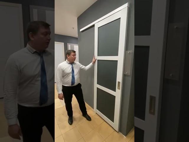 Дверь купе от ProfilDoors