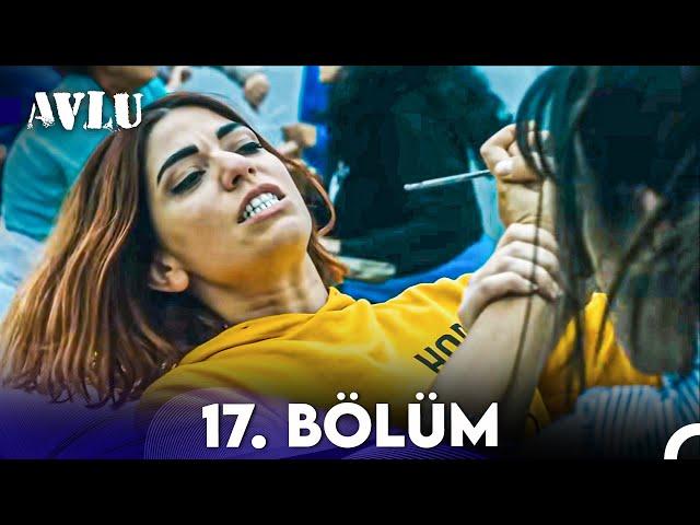 Avlu 17. Bölüm