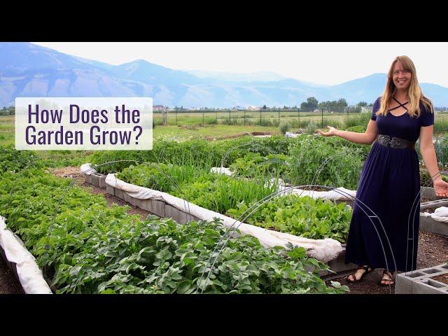 How Does the Garden Grow? Mid July Garden Tour & Tips I've Learned for Healthy, Productive Plants