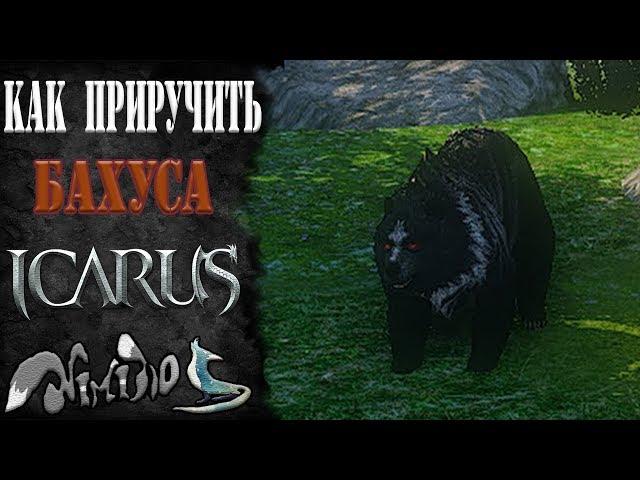 Icarus online(RU). Как приручить...#3 - Бахус. Замок Хаканаса