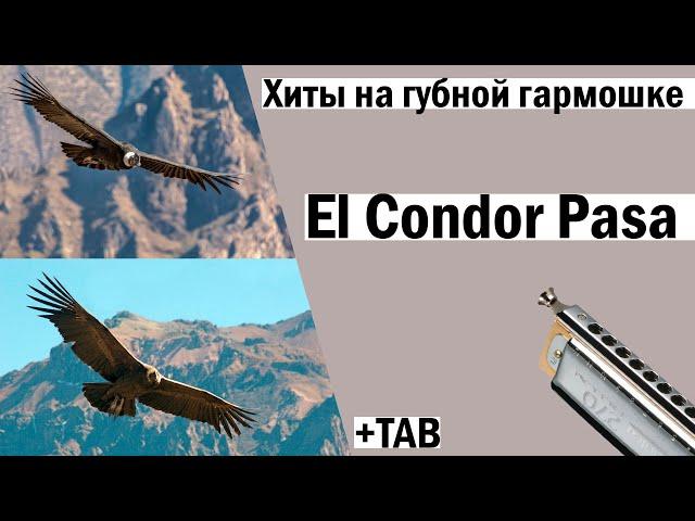 El Condor Pasa│Полет кондора│Хиты на губной гармошке│TAB