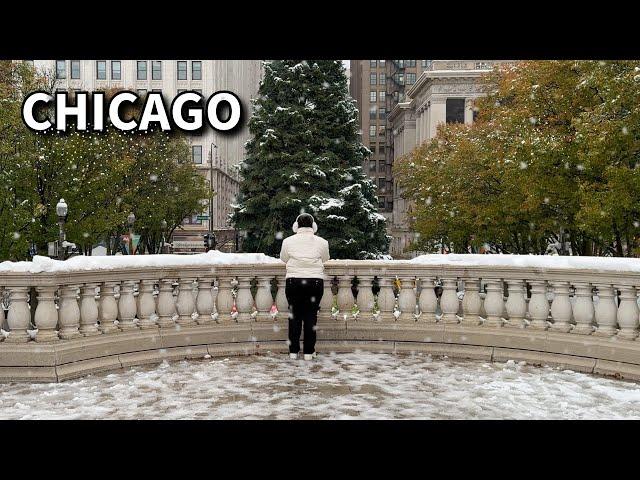 Chicago Christmas Snowfall Walk  Wet Snow Fall on Thursday | November 21, 2024 | 4k Video