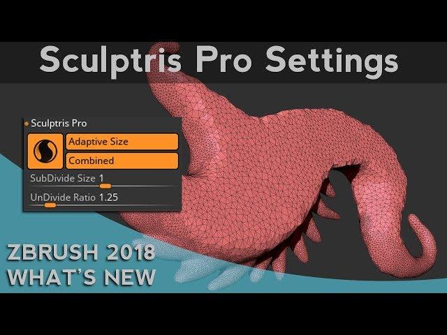 006 ZBrush 2018 Sculptris Pro Settings