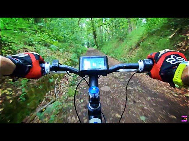 Voilamart 1000W GIANT REVEL Ebike / Full Throttle Ride In The Woods (36mph+) #Emtb