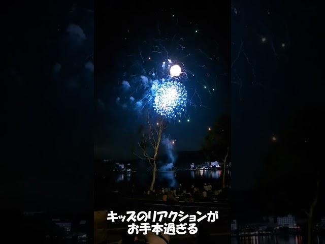 子供のリアクションが良すぎる花火 #shorts #japan #fireworks #culture #festival #travel