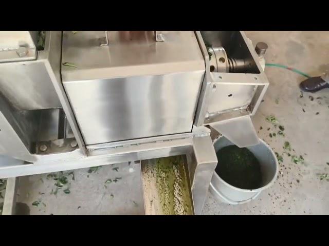 Screw Press Juicer Machine/1.5 hp