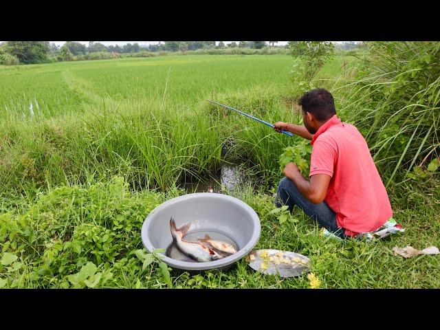 Canal Fishing Video || Village Boys like to catch fish using hook || Traditional hook fishing