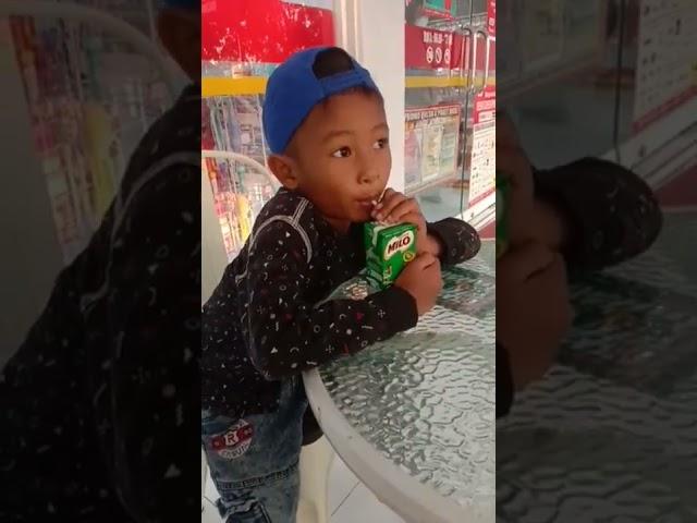 susu kotak milo