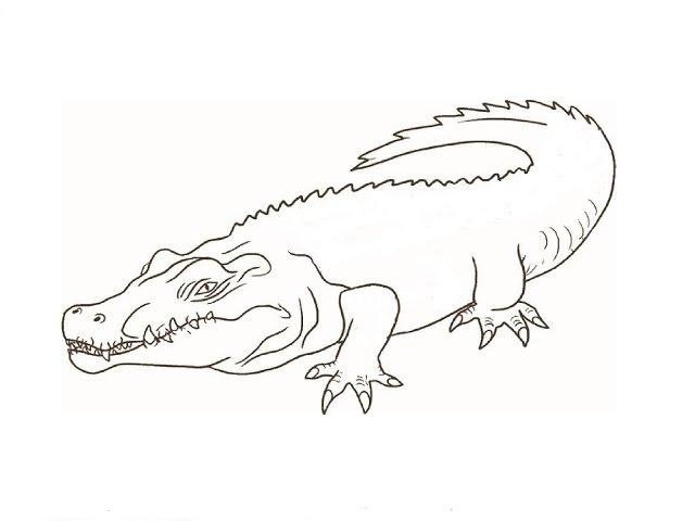 How to Draw a Crocodile / Как нарисовать крокодила