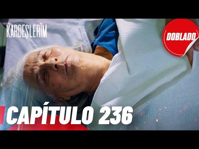 Todo por mi Familia | Kardeslerim - Capítulo 236 | Doblado