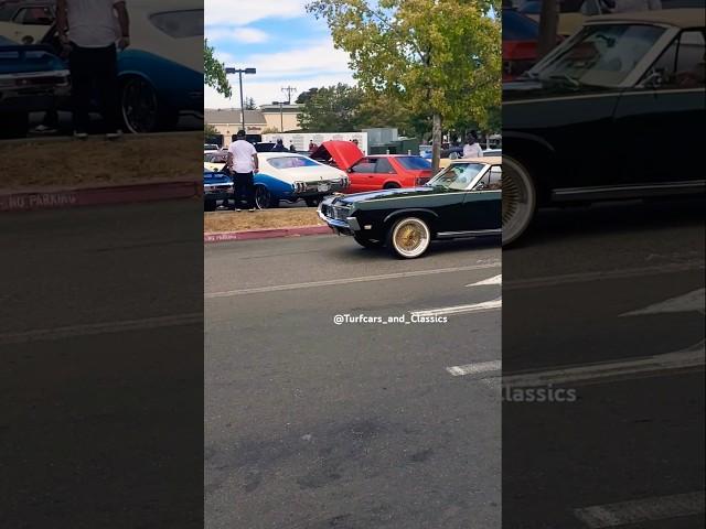 Drop Cougar Pullin Up on Gold Zeniths & Vogues from Oakland, Ca
