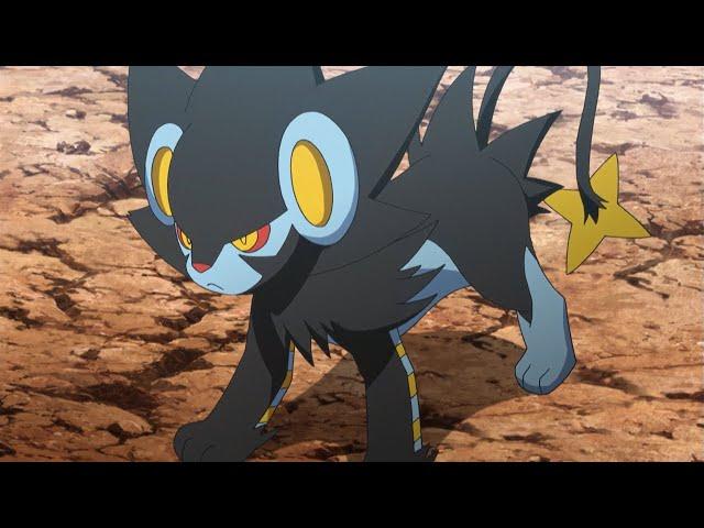 [POKEMON AMV] What I’m Made Of - Crush 40 | Shinx / Luxio / Luxray Tribute