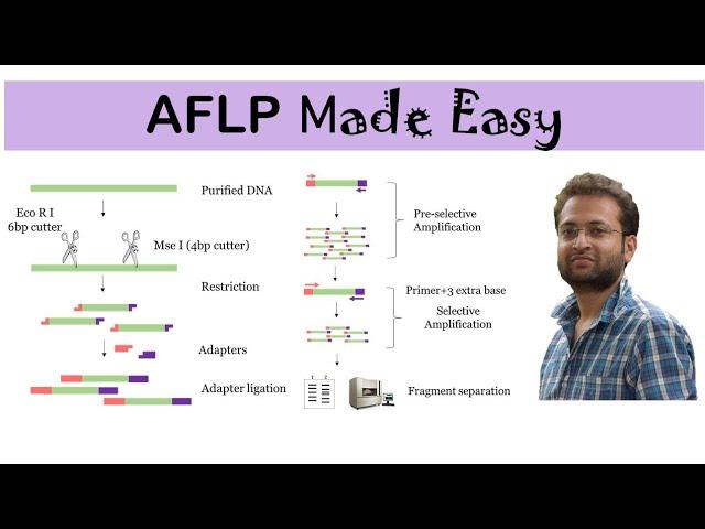 AFLP marker: What is it? how it works? Advantages and Disadvantages